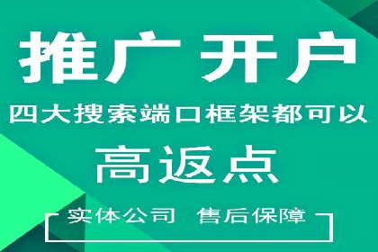 百度竞价推广托管案例深度解读